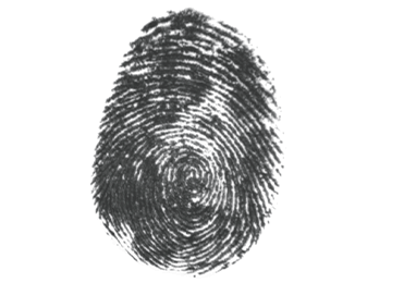 10 Plus X | Spurensicherung | Fingerabdruck